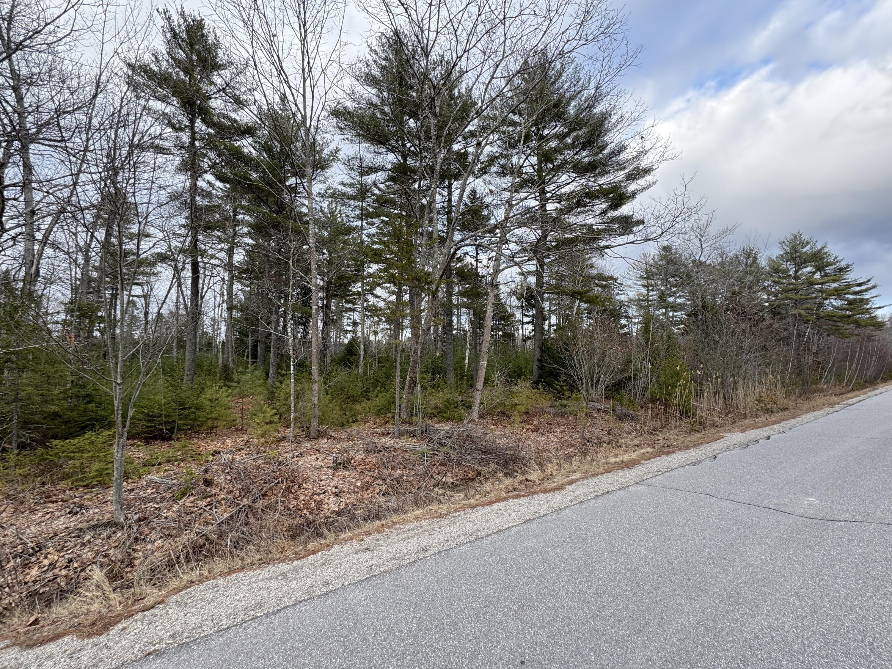 0 Town Farm Road Bucksport, ME 04416 - Photo 2 of 9 20260406_214929678_iOS