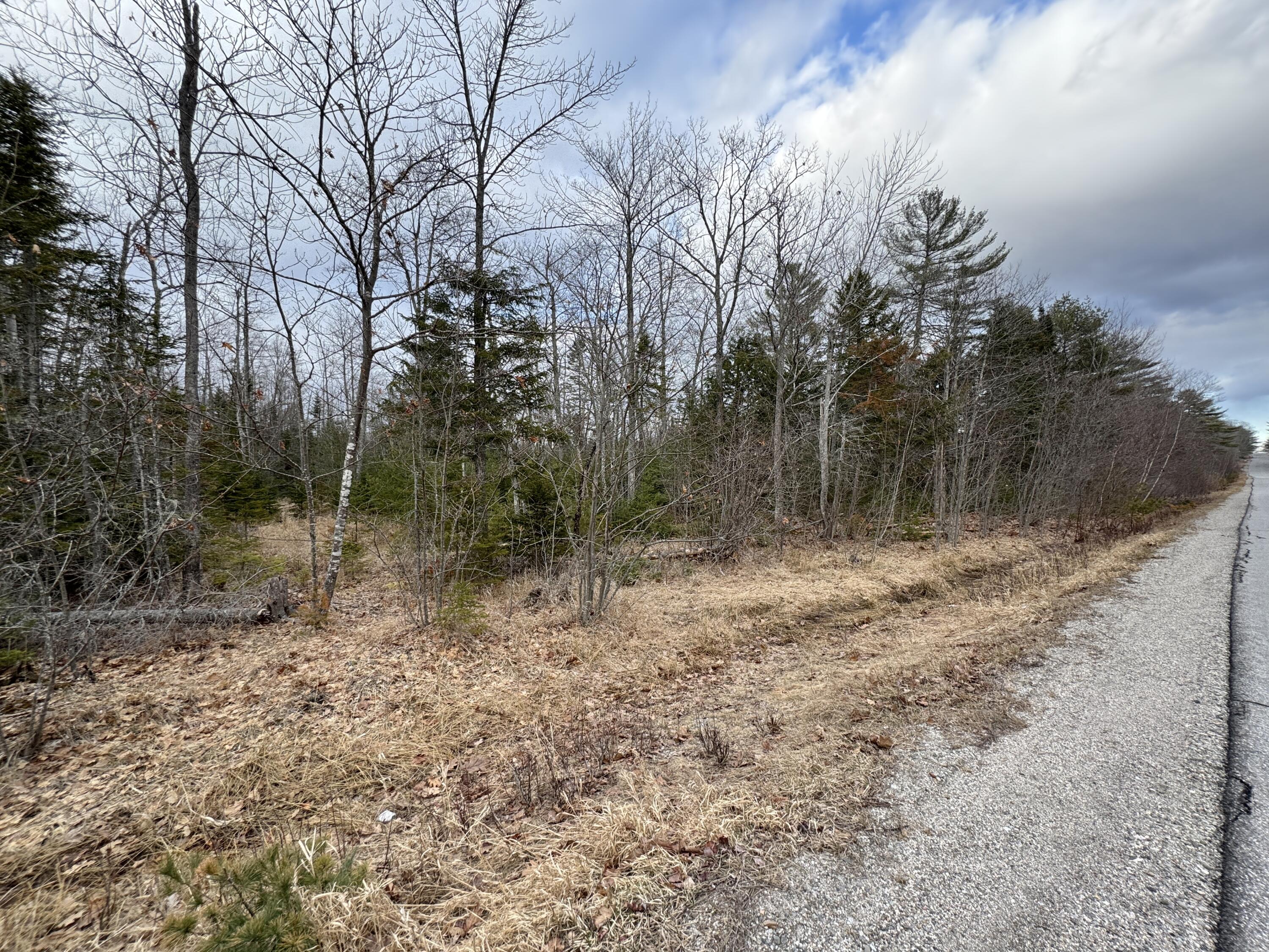 0 Town Farm Road Bucksport, ME 04416 - Photo 3 of 9 20260406_214806628_iOS
