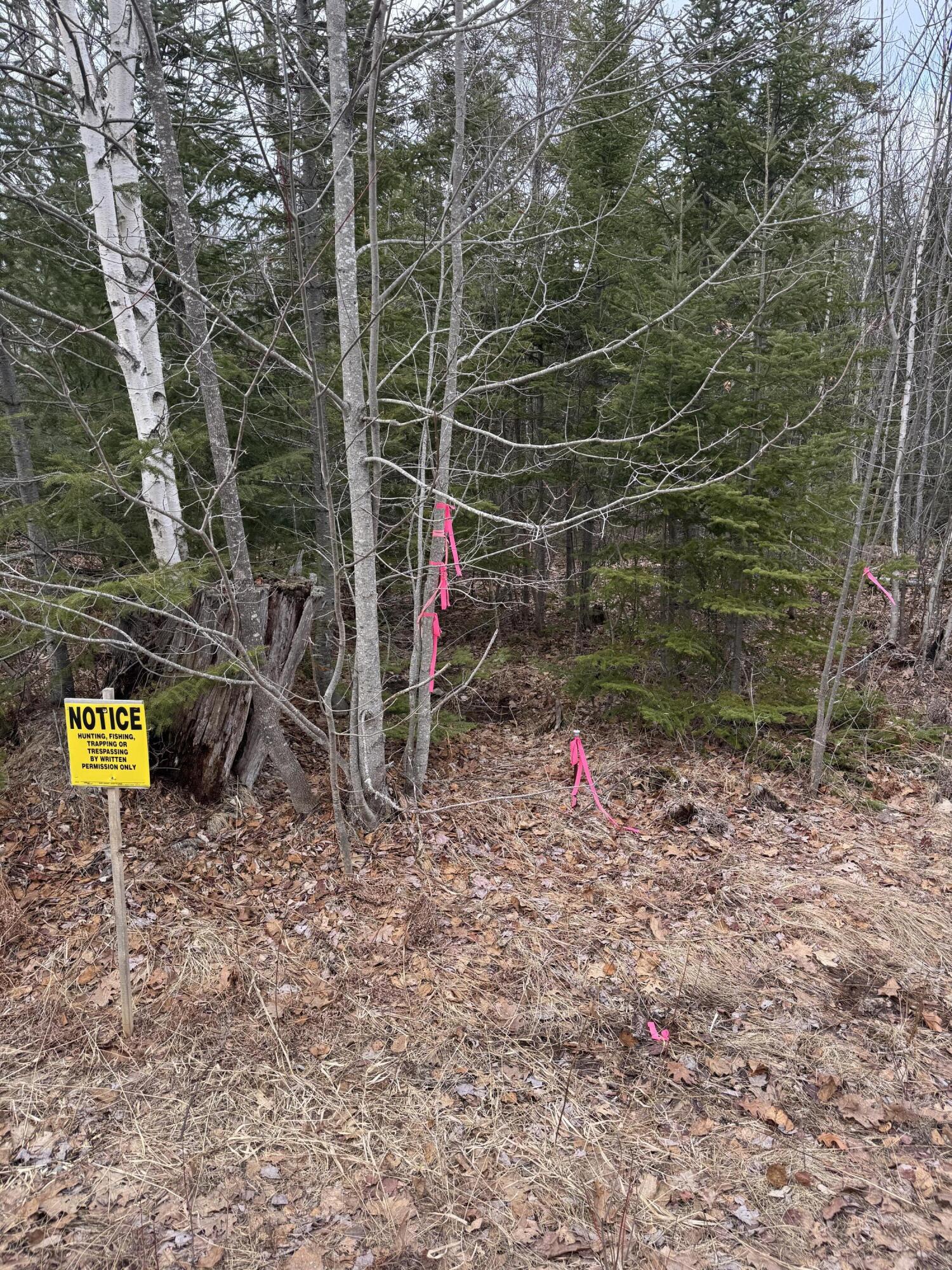 0 Town Farm Road Bucksport, ME 04416 - Photo 4 of 9 20260406_214728715_iOS