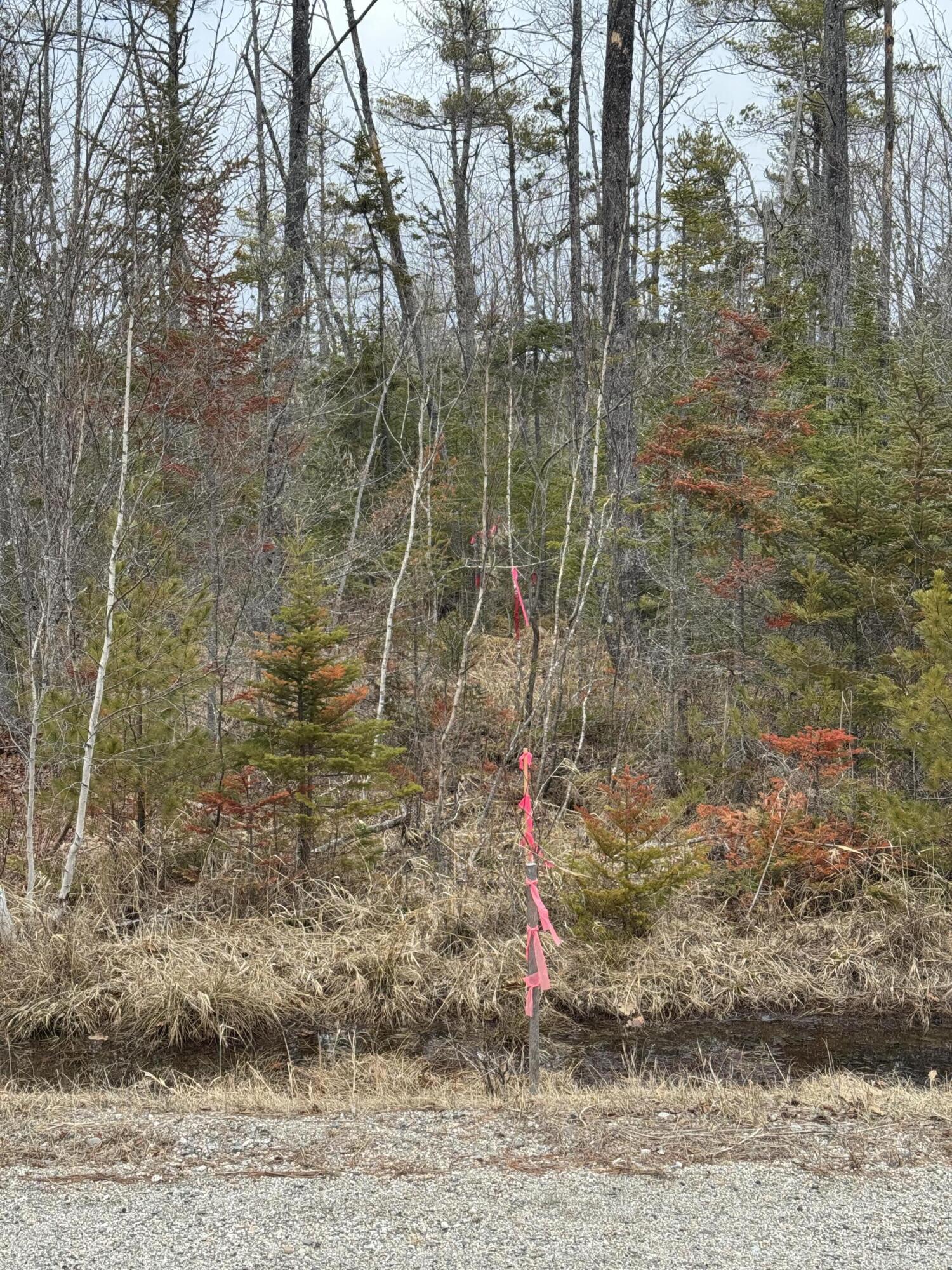 0 Town Farm Road Bucksport, ME 04416 - Photo 5 of 9 20260406_215024050_iOS