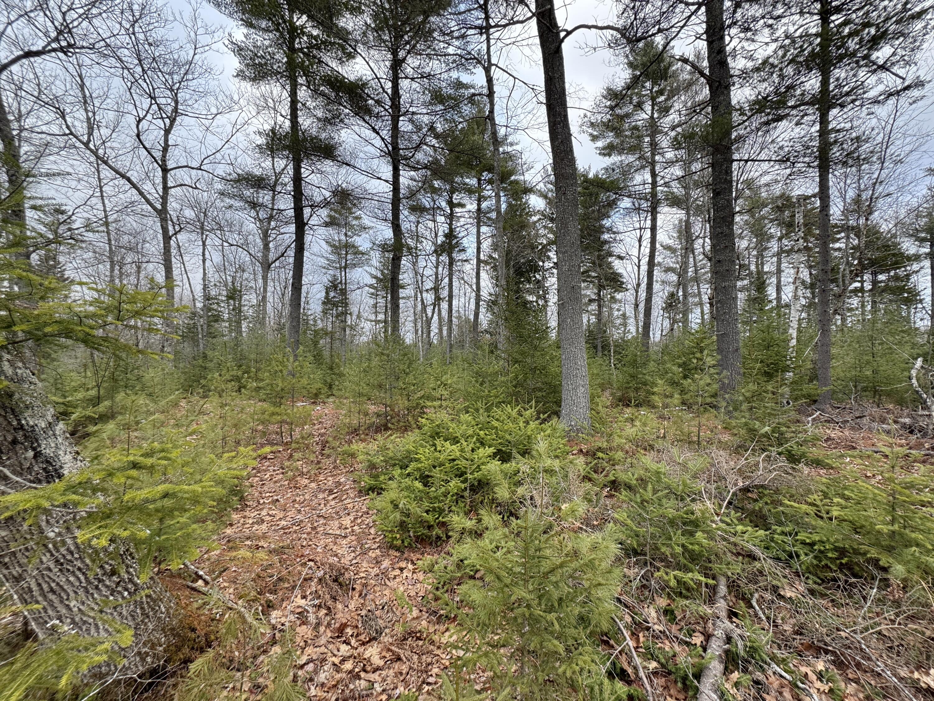 0 Town Farm Road Bucksport, ME 04416 - Photo 6 of 9 20260406_215508518_iOS