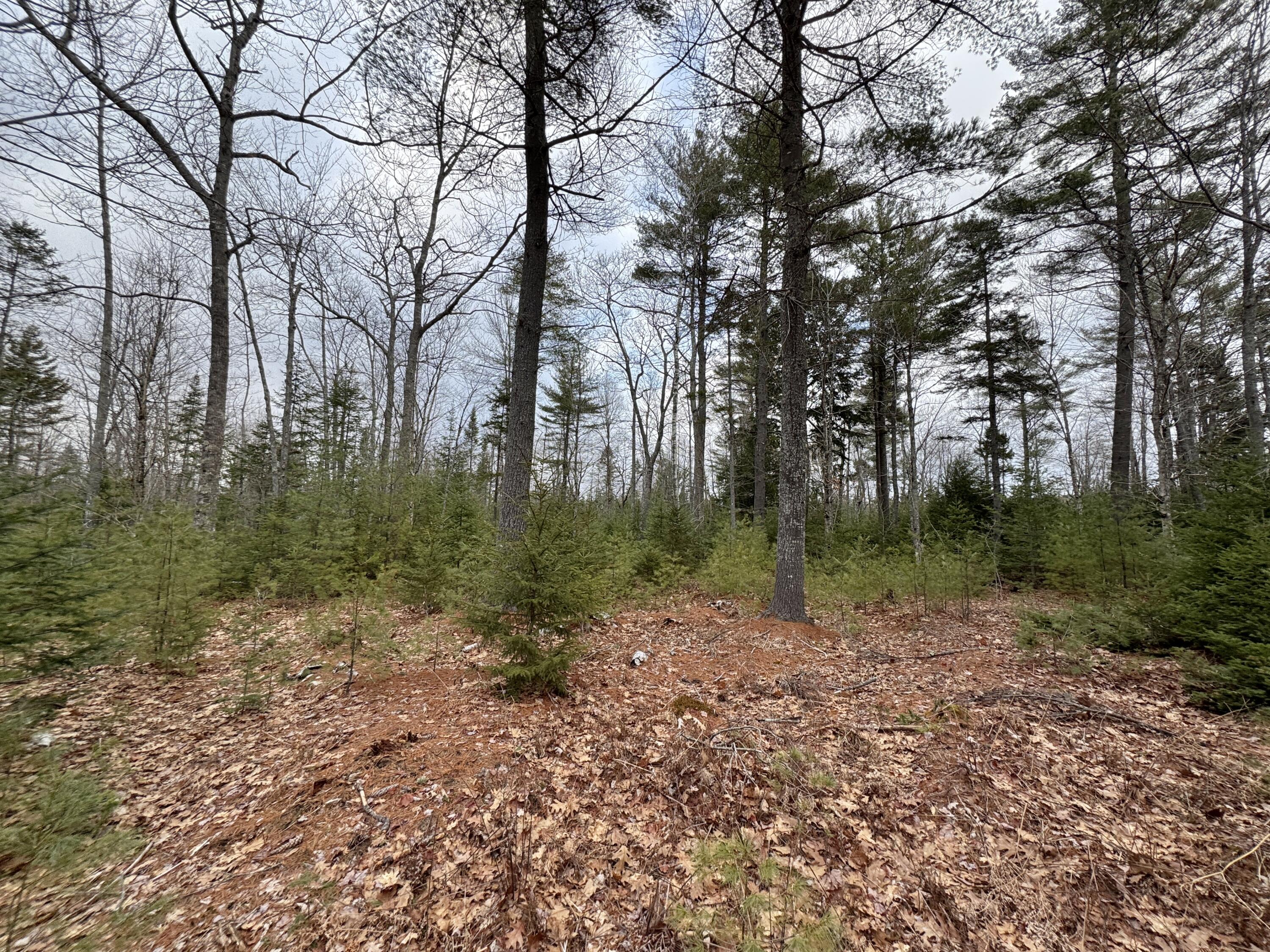0 Town Farm Road Bucksport, ME 04416 - Photo 7 of 9 20260406_215524223_iOS