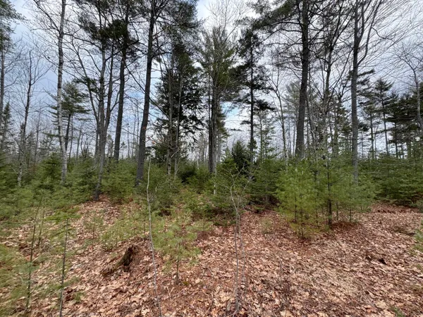 $82,500 | 0 Town Farm Road, Bucksport, ME 04416