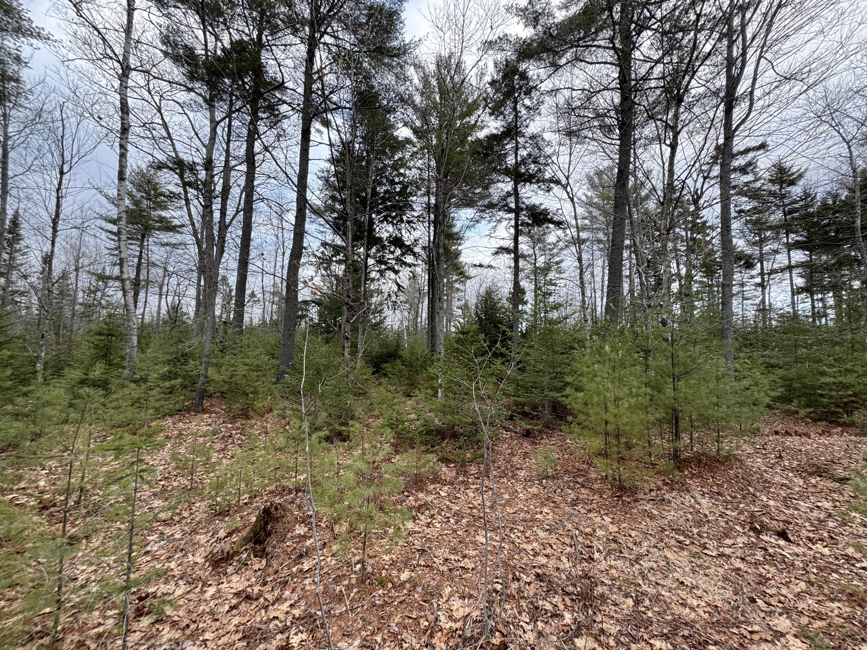 0 Town Farm Road Bucksport, ME 04416 - Photo 8 of 9 20260406_215541446_iOS