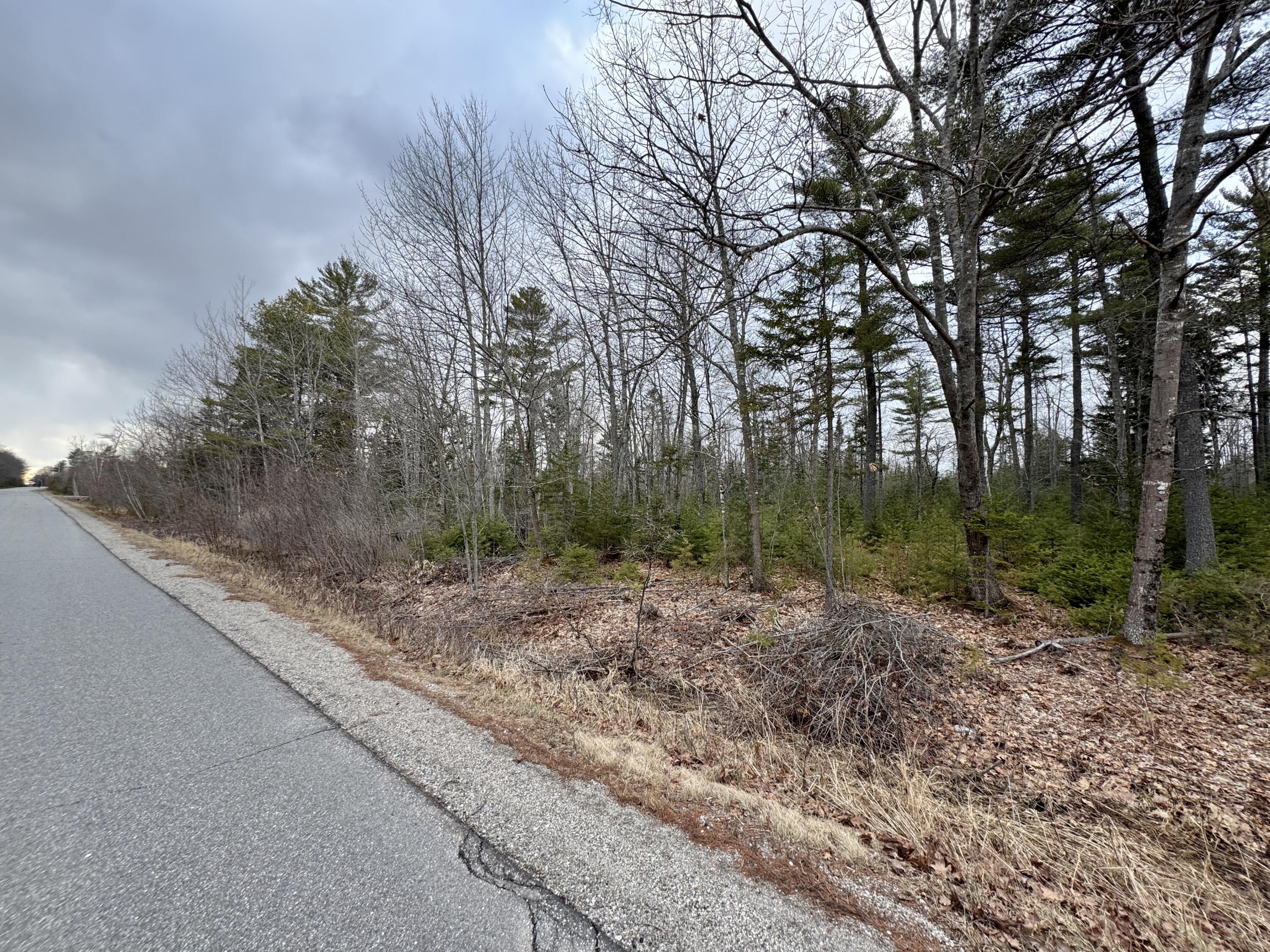 0 Town Farm Road Bucksport, ME 04416 - Photo 9 of 9 20260406_215627098_iOS