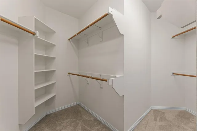 a room with furniture and a potted plant