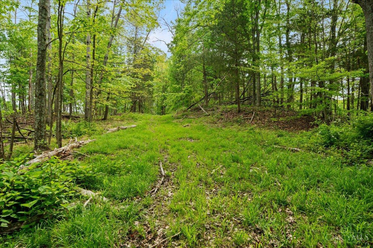 1393 Dutch Thomas Road Peebles, OH 45660 - Photo 46 of 52 Gallery Image 46