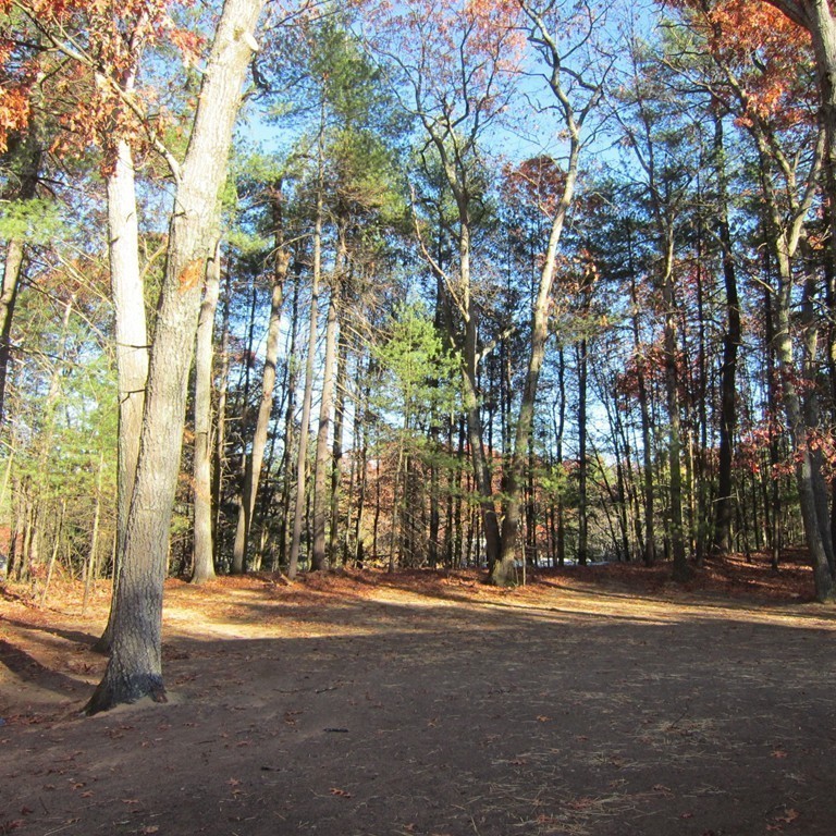 15 Forest Road Acton, MA 01720 - Photo 16 of 17 Gallery Image 16