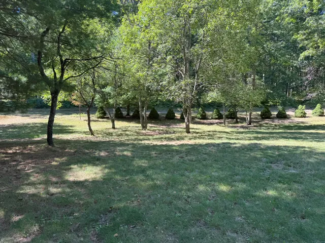 $194,900 | 7658 North Johnson Road, Irons, MI 49644