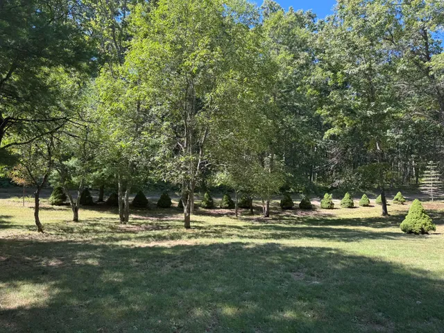 $194,900 | 7658 North Johnson Road, Irons, MI 49644