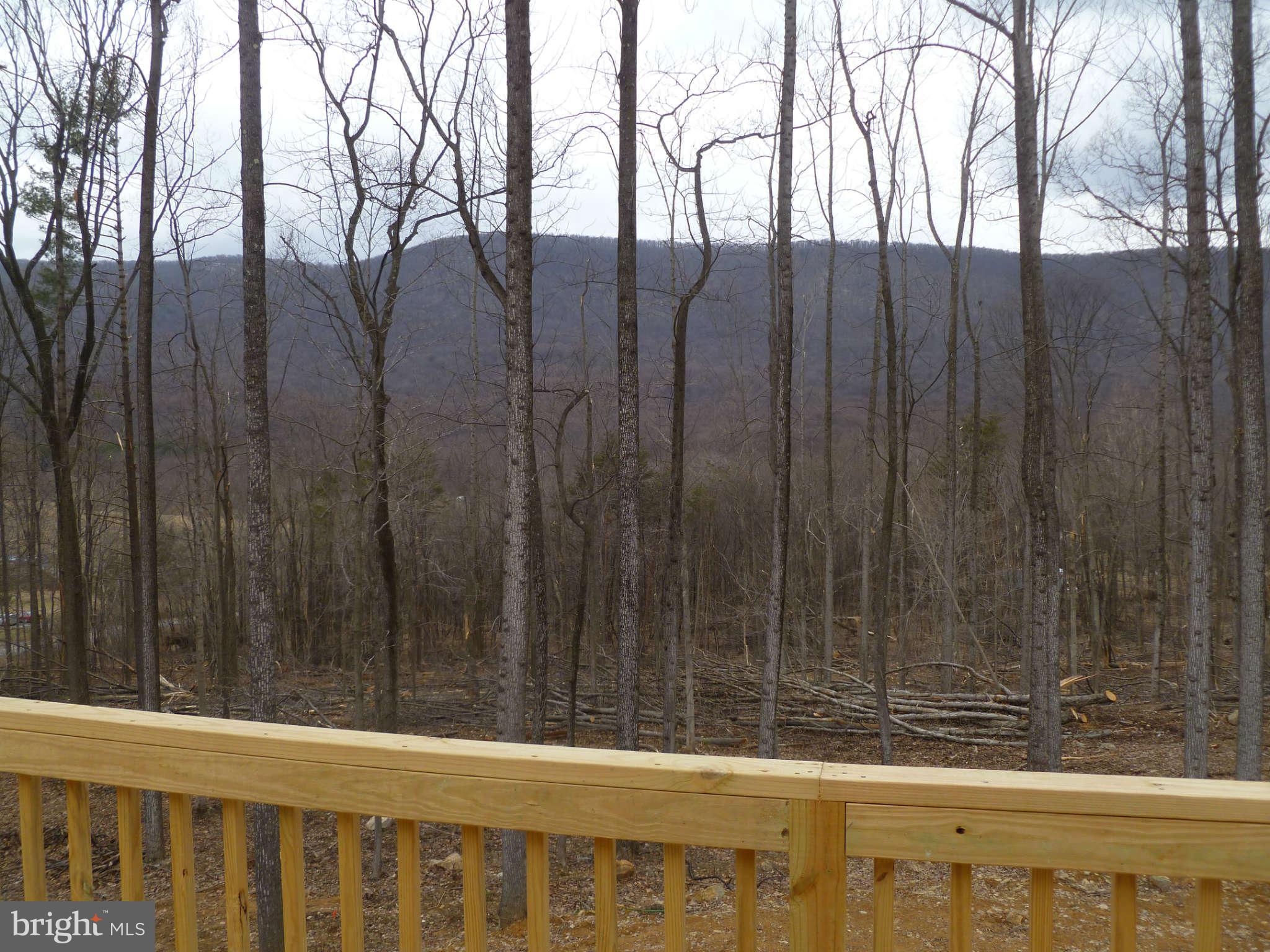 5799 Cold Run Valley Road Berkeley Springs, WV 25411 - Photo 9 of 27 View