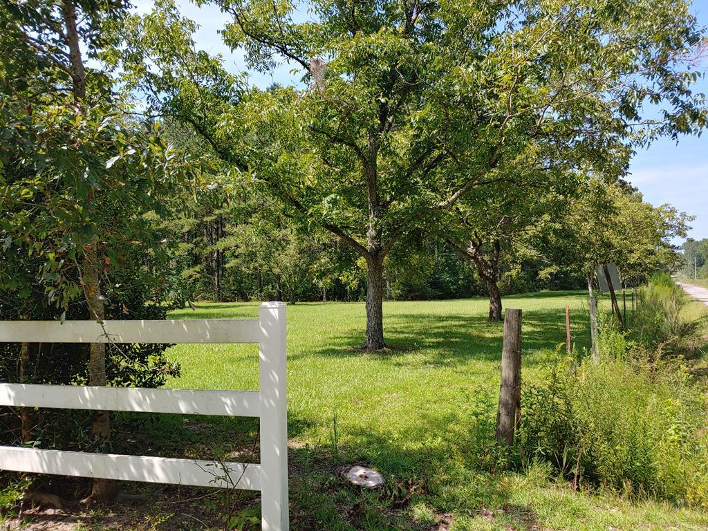 0 Beasley Alexander Road Carriere, MS 39426 - Photo 1 of 1 Gallery Image 1