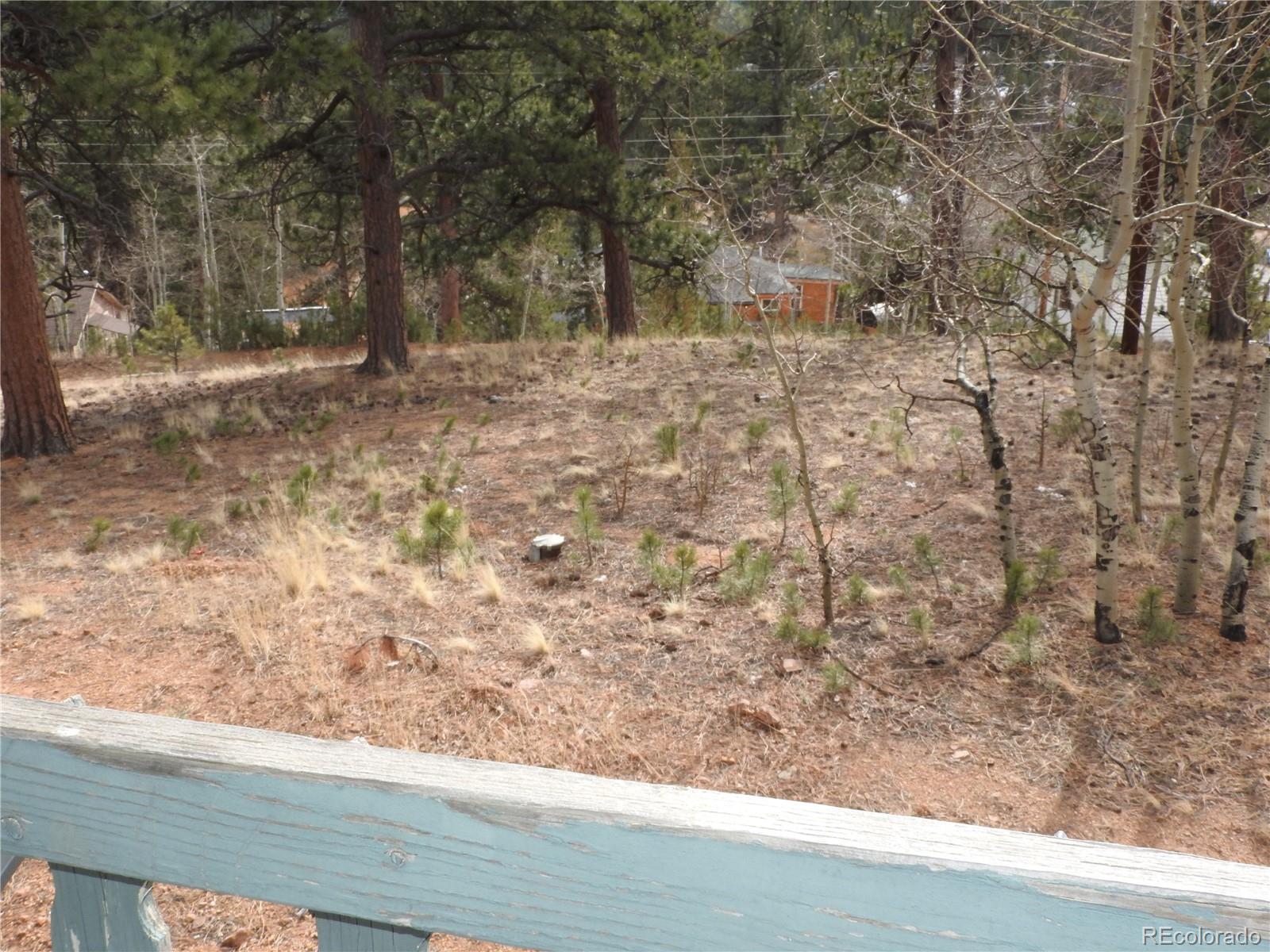 426 Houston Street Bailey, CO 80421 - Photo 36 of 47