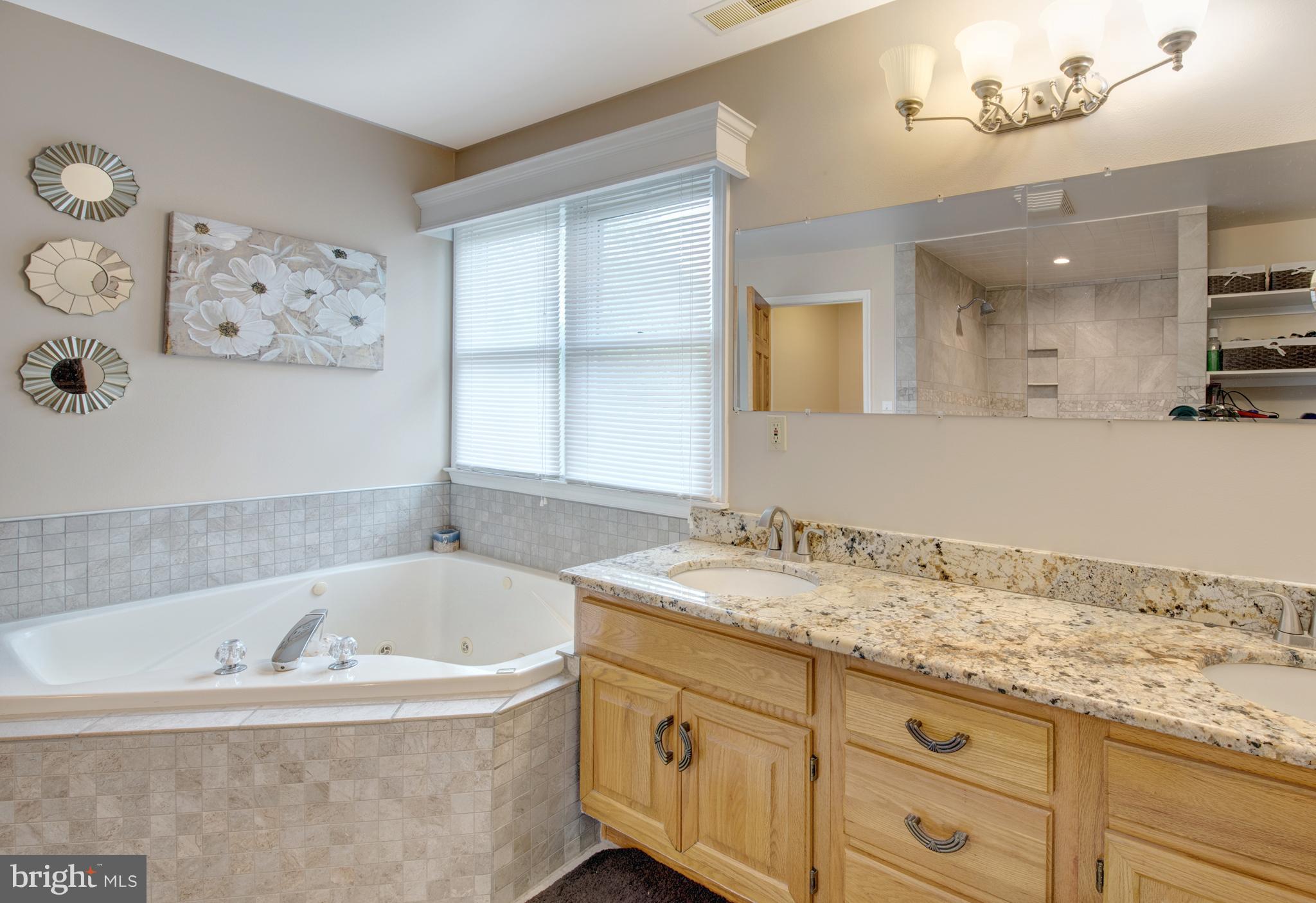12867 Chesterville Road Galena, MD 21635 - Photo 22 of 30 Bath (Master)