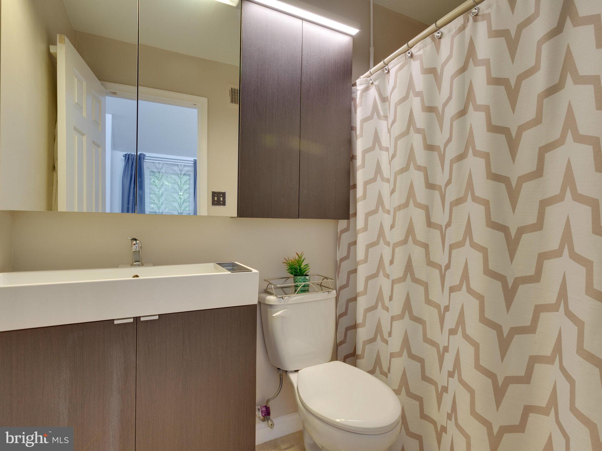 8214 Maple Ridge Avenue Springfield, VA 22153 - Photo 14 of 23 Bath (Master)