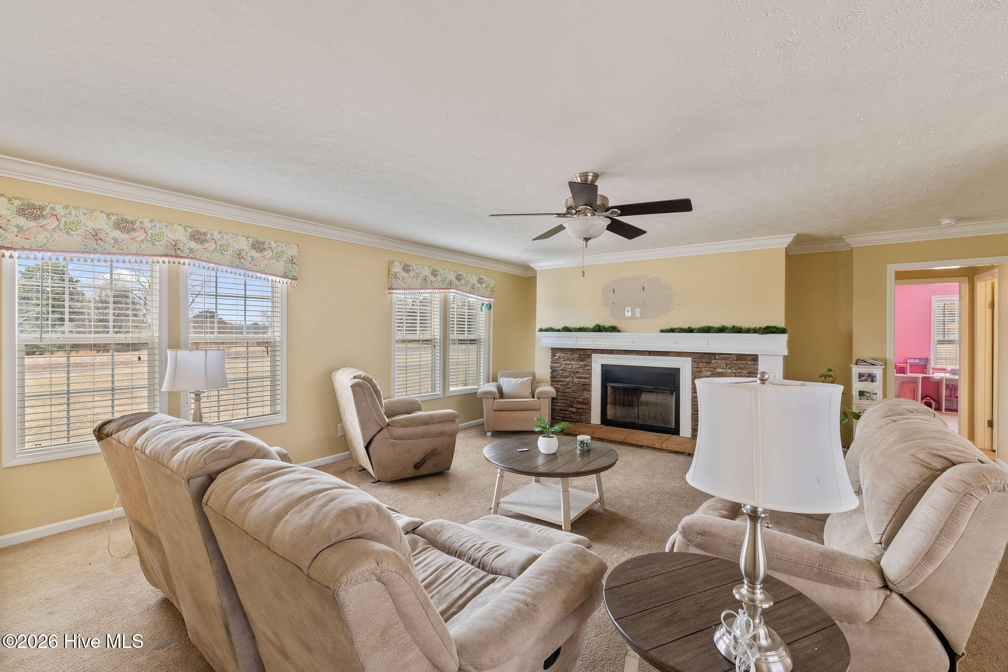 641 Overman Road Goldsboro, NC 27530 - Photo 6 of 24 5T5A1803_edited