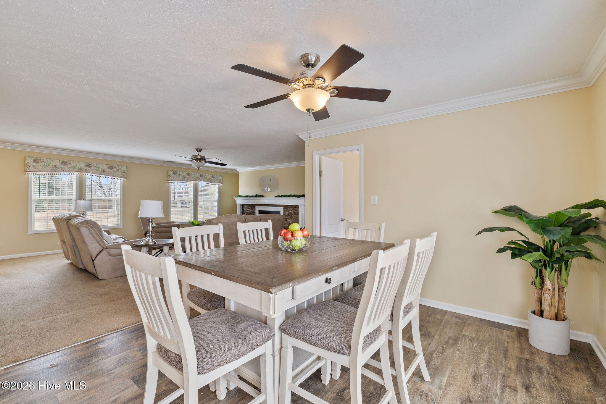 641 Overman Road Goldsboro, NC 27530 - Photo 7 of 24 5T5A1797_edited