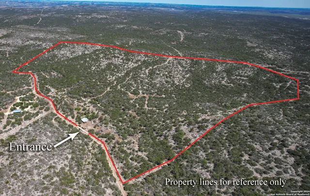 a view of a pathway with a tree