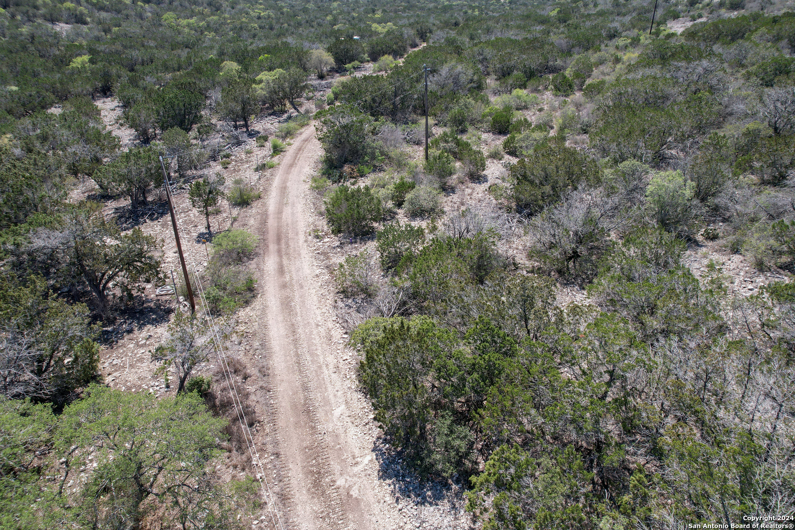 0 Rm 334 Brackettville, TX 78832 - Photo 10 of 15 a view of a forest with trees and houses