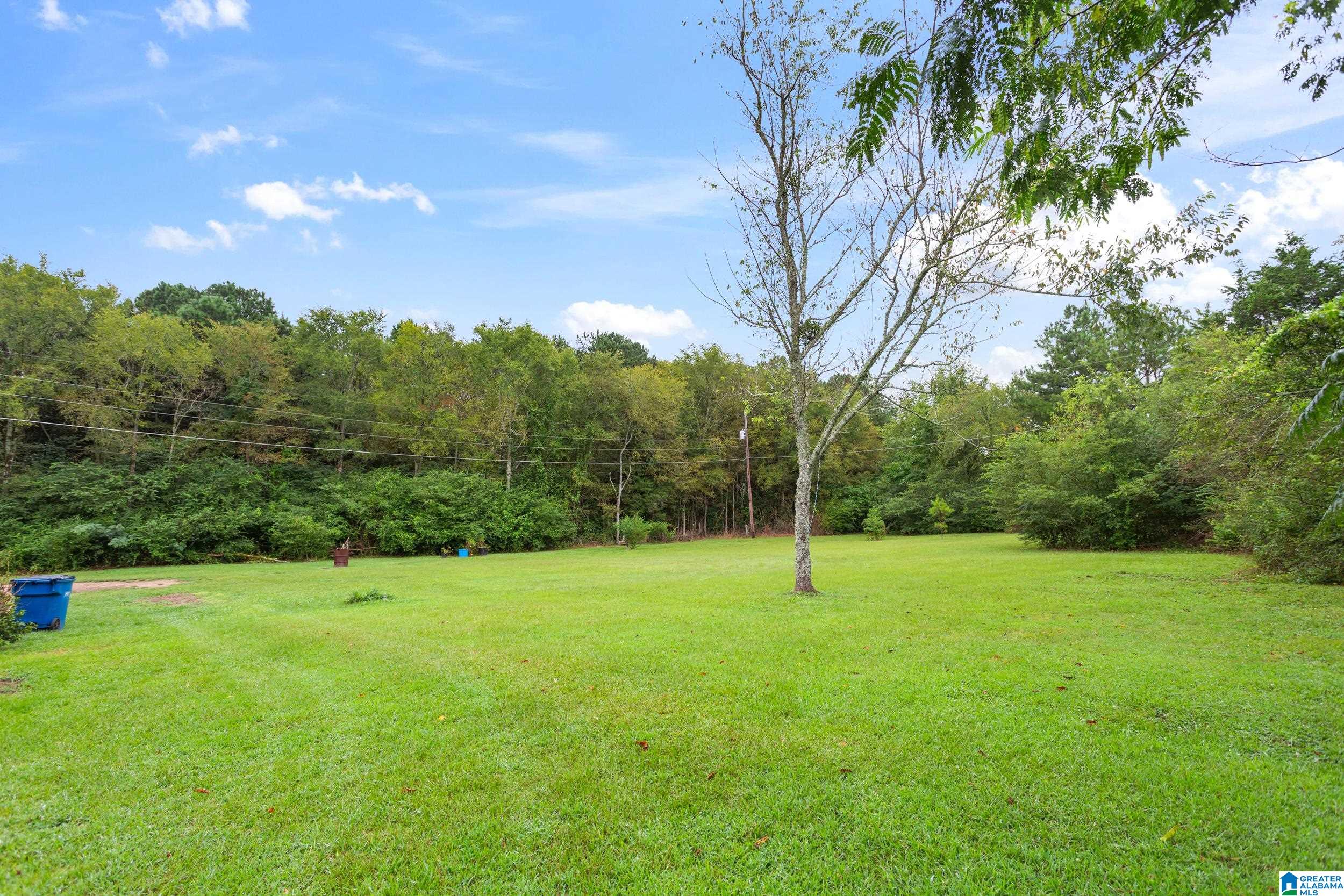 910 Whites Gap Road Jacksonville, AL 36265 - Photo 10 of 13