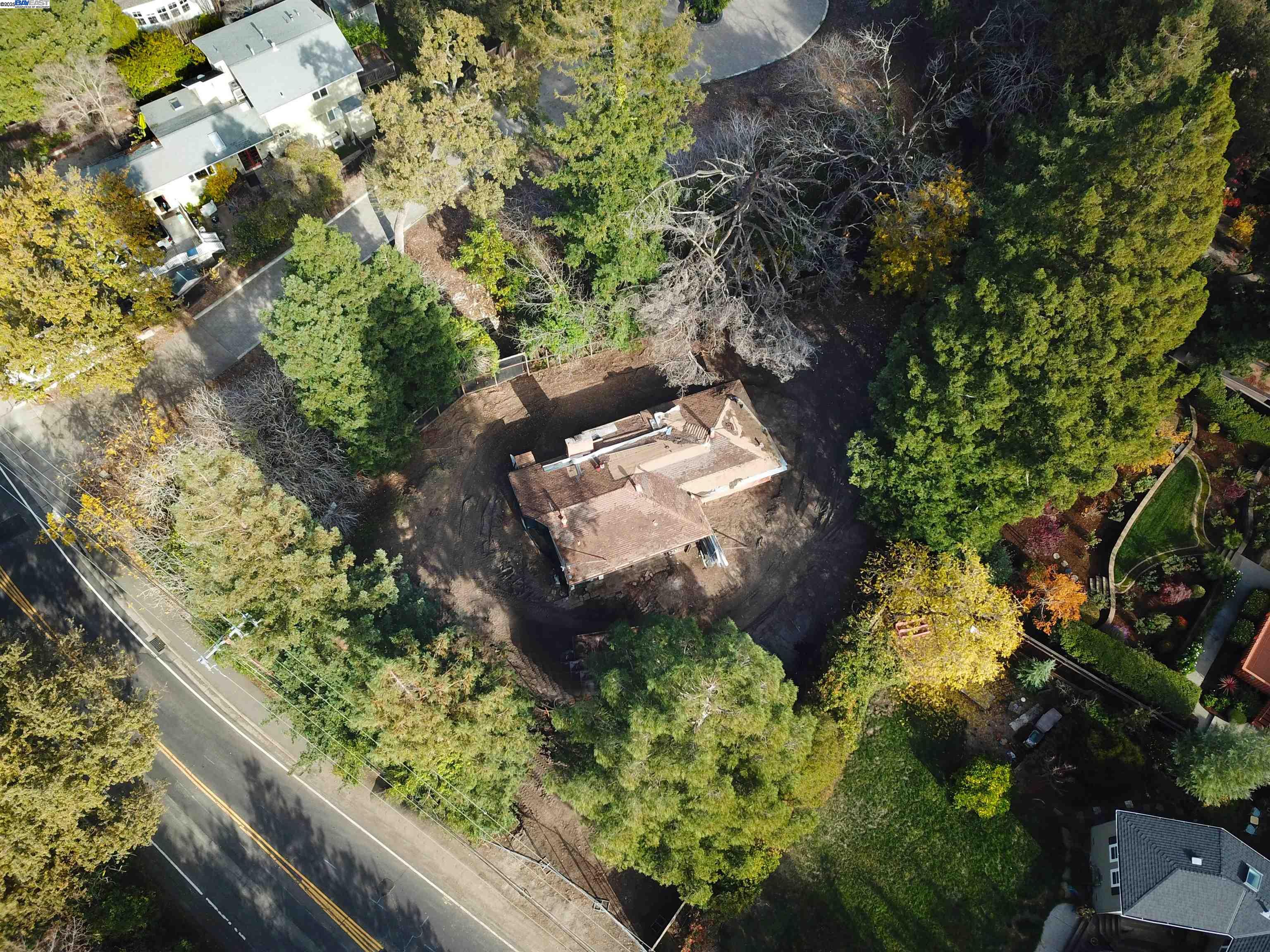 1770 Pleasant Hill Road Pleasant Hill, CA 94523 - Photo 20 of 23 a picture of flowers