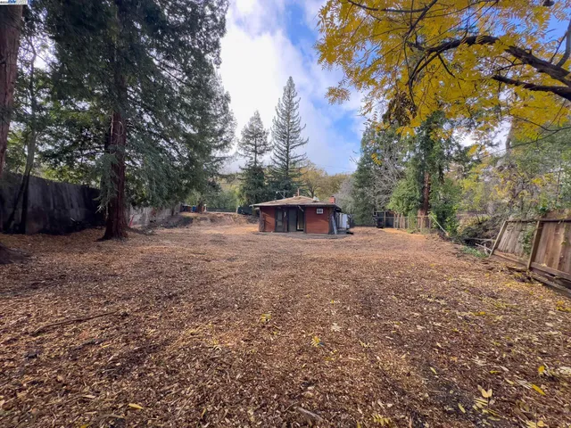 a view of a backyard with large trees