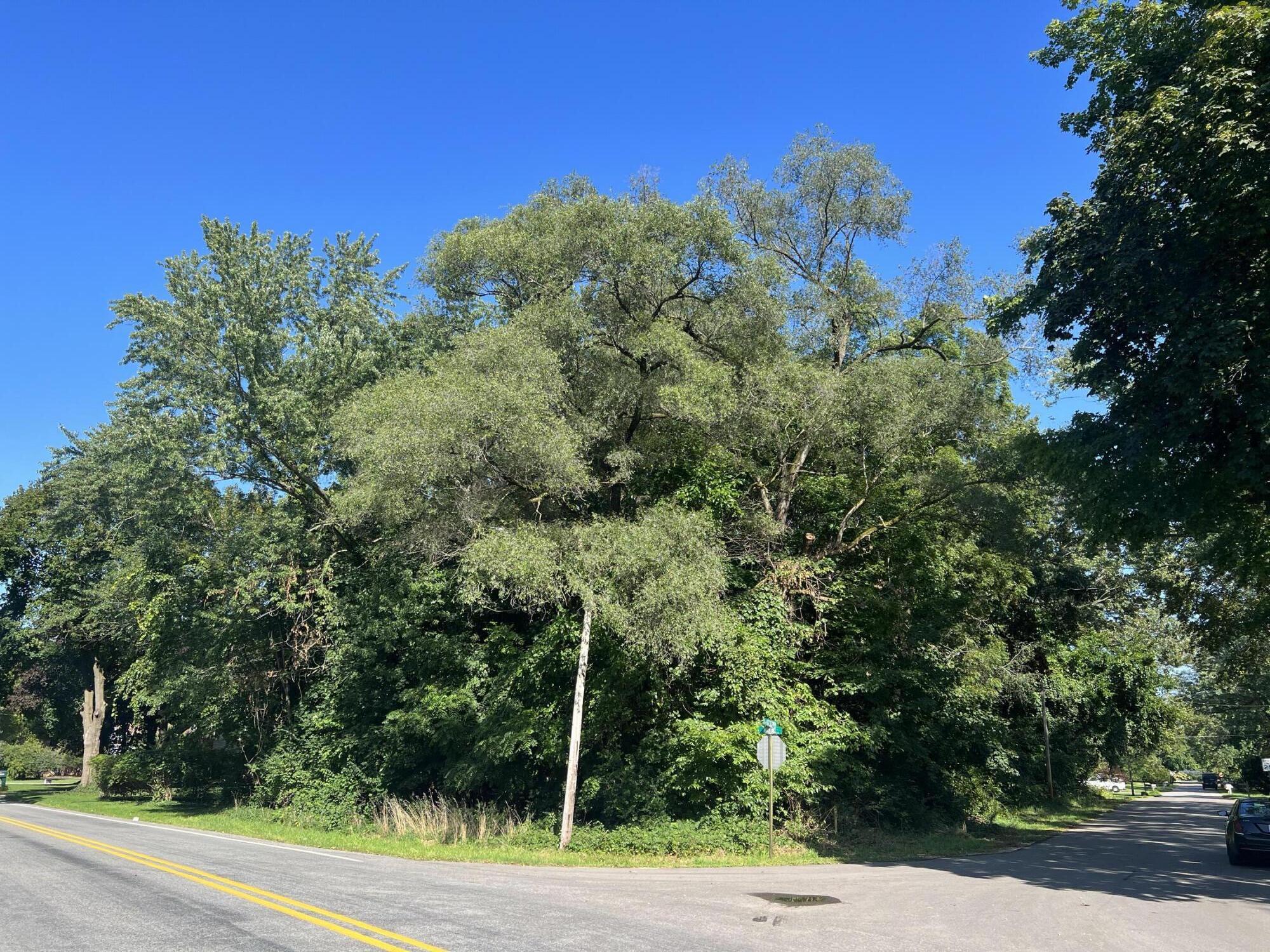 1485 Miami Road Benton Harbor, MI 49022 - Photo 2 of 3 Looking North East from Miami Rd