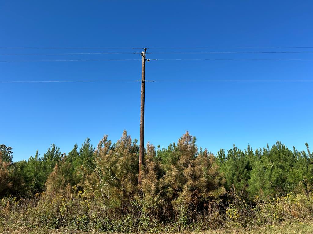 95 (columbia Rd) Road Abbeville, AL 36310 - Photo 10 of 41