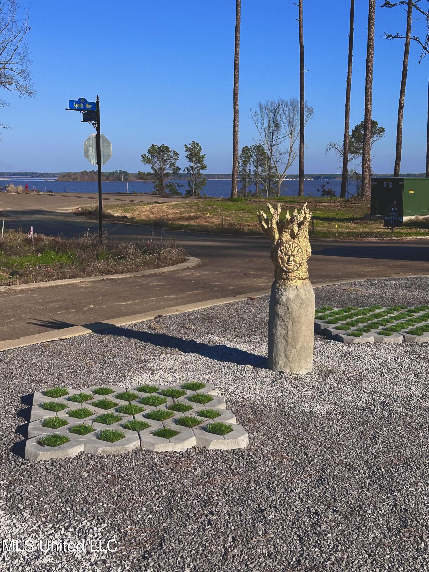 104 Venus Drive Brandon, MS 39042 - Photo 7 of 9 Expedition Point Palm with Statue Apollo