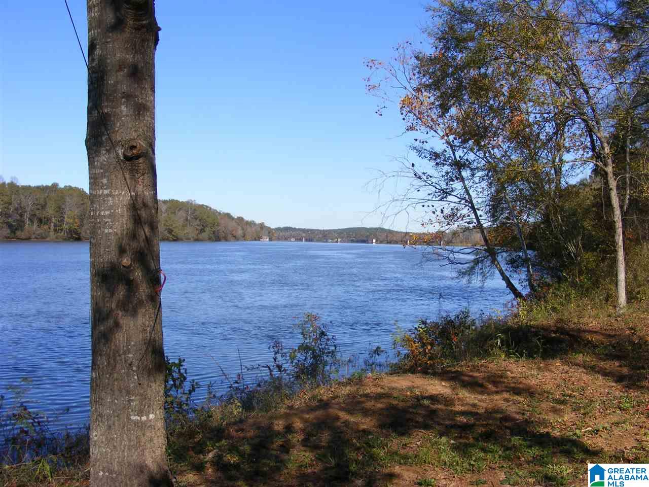 8229 McGowans Ferry Road Childersburg, AL 35044 - Photo 4 of 7