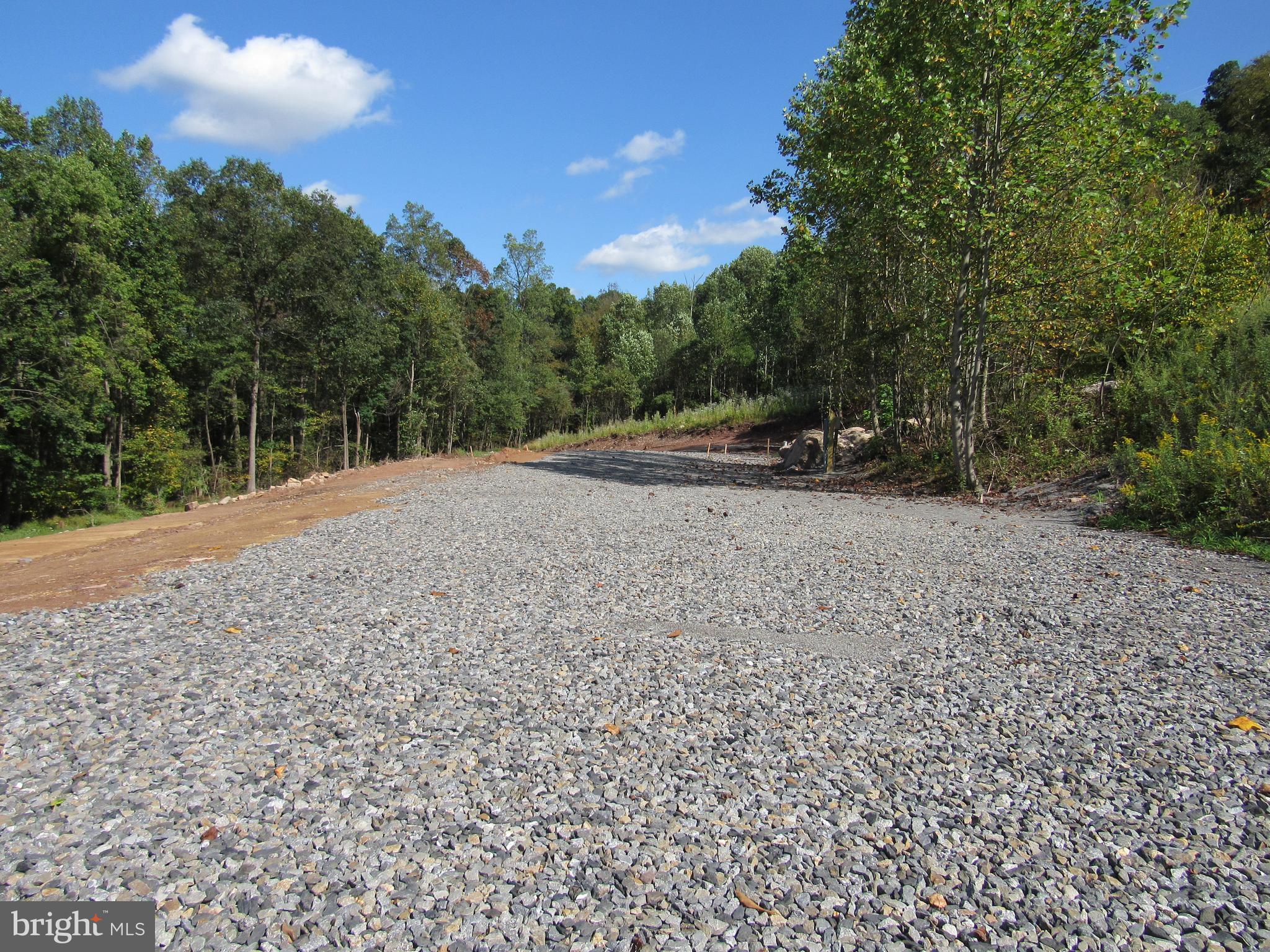 a view of dirt yard with a large tree