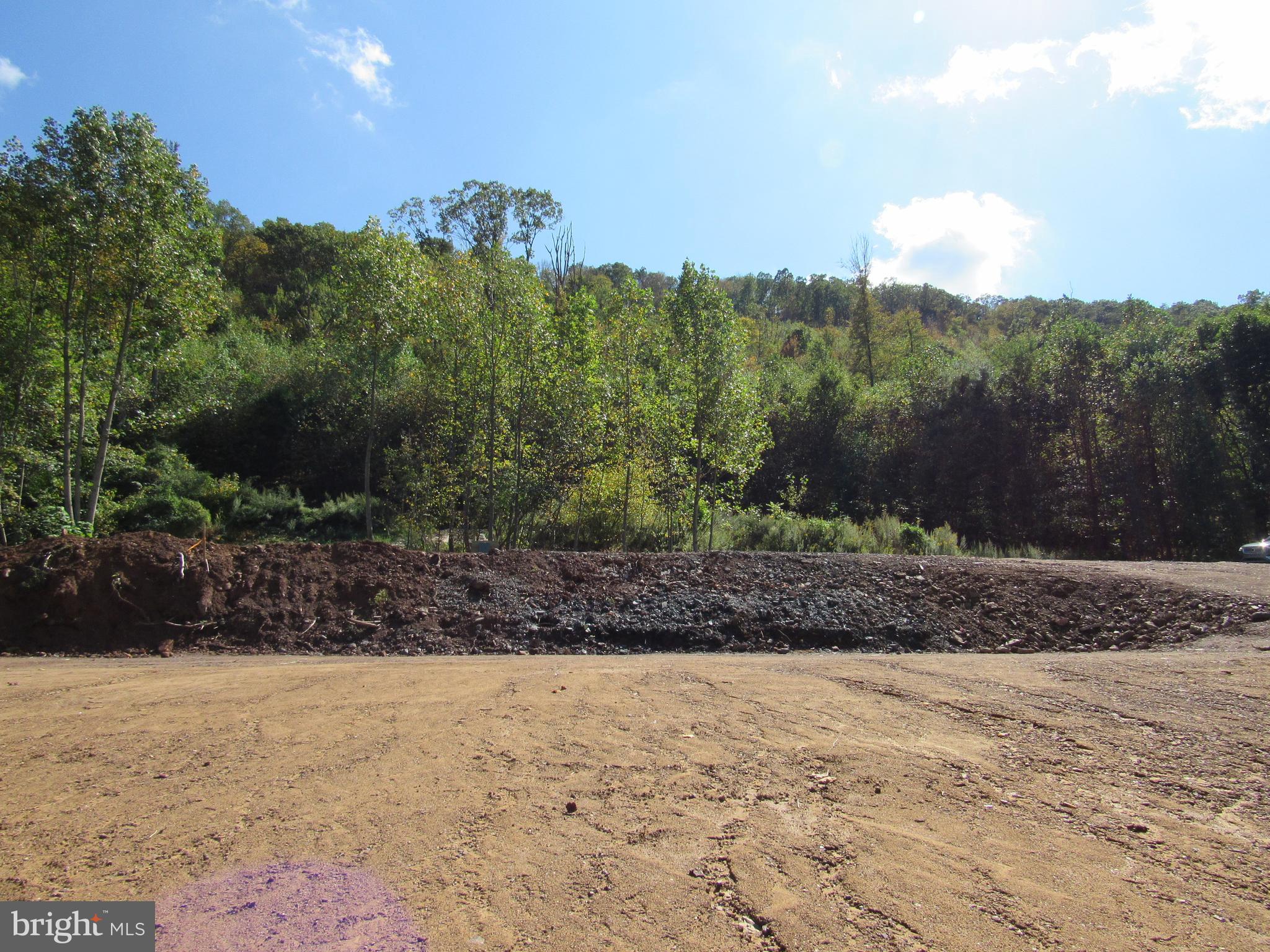 0 Fountain Road Hegins, PA 17938 - Photo 12 of 16 a view of a yard
