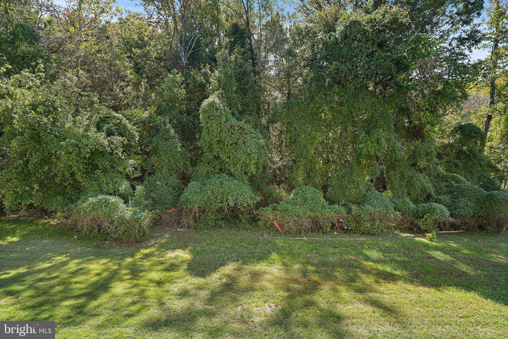1201 Hunters Mill Avenue Fort Washington, MD 20744 - Photo 32 of 32 Wooded Backyard
