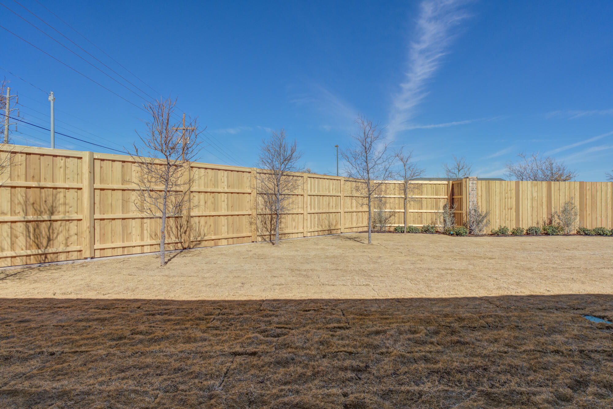 4312 136th Street Lubbock, TX 79423 - Photo 5 of 7 VENTURA HOMES