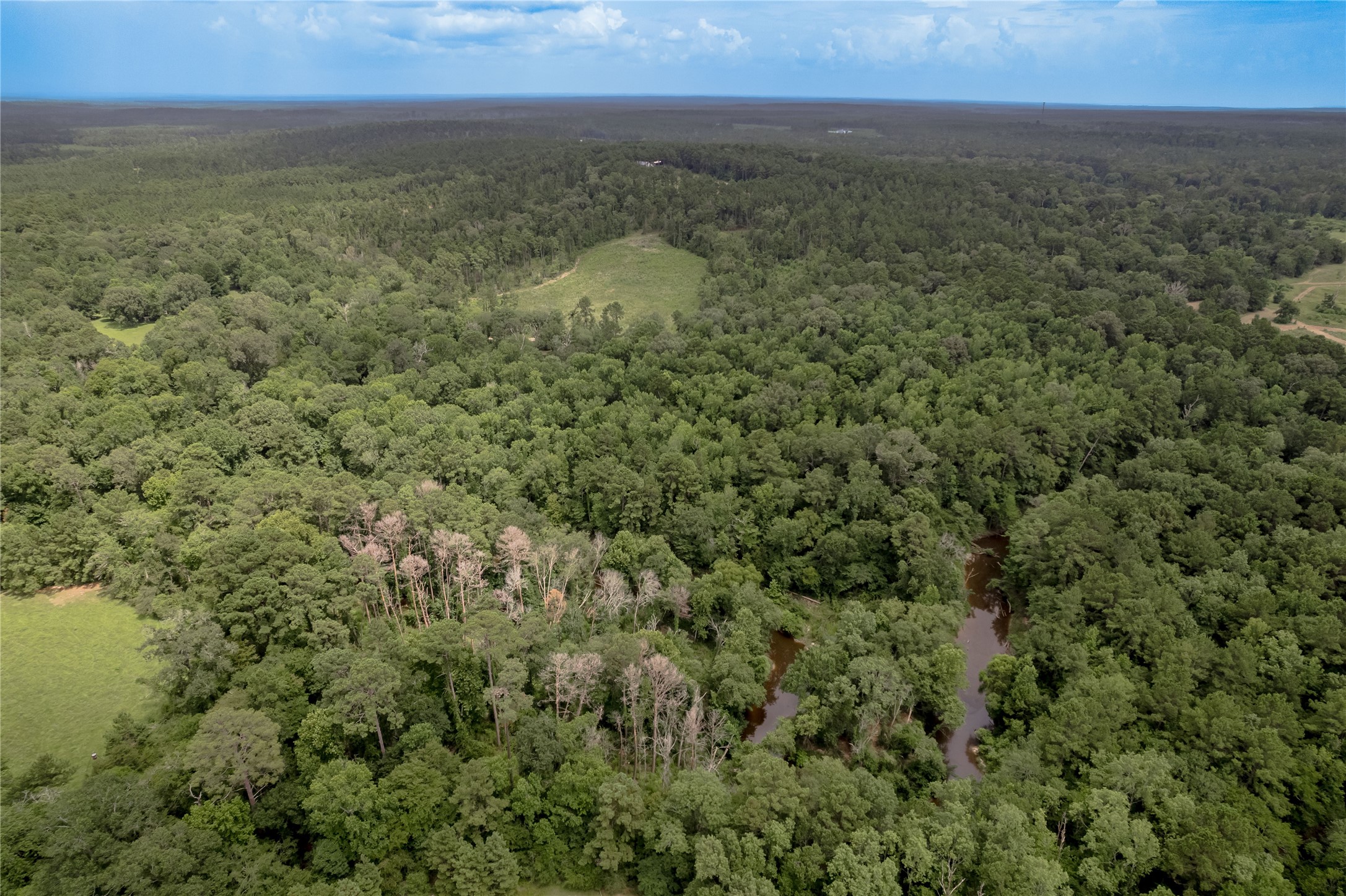 438 Cody Road Trinity, TX 75862 - Photo 26 of 50 Expansive aerial view of lush, wooded land with a meandering creek, offering serene natural beauty and privacy. Ideal for those seeking a tranquil, forested retreat.