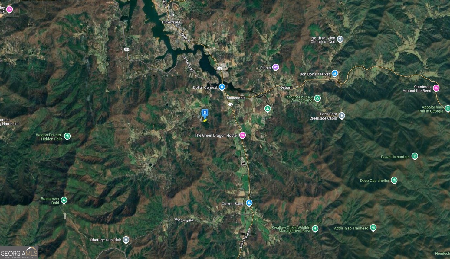 2356 Fodder Creek Mill Road Hiawassee, GA 30546 - Photo 5 of 6 a view of a tree