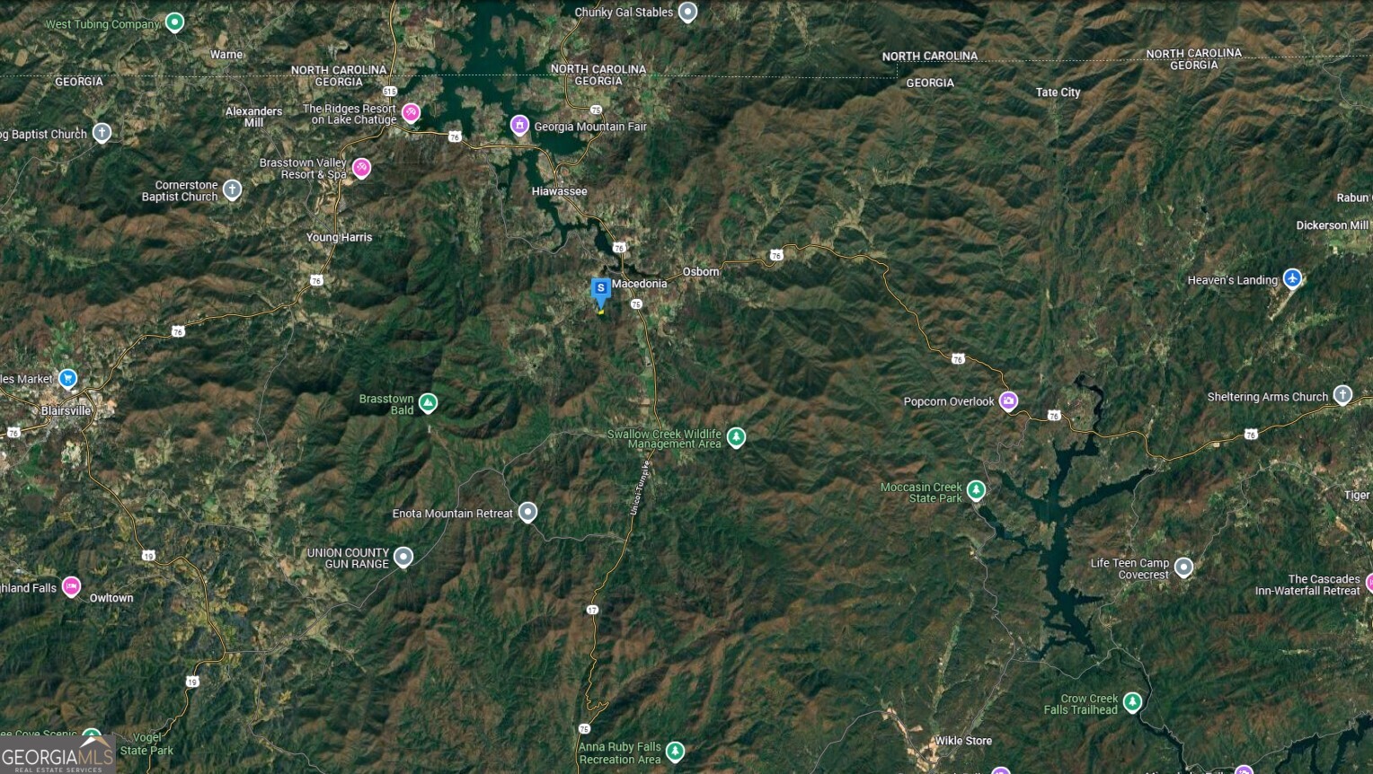 2356 Fodder Creek Mill Road Hiawassee, GA 30546 - Photo 6 of 6 a view of a tree in a yard