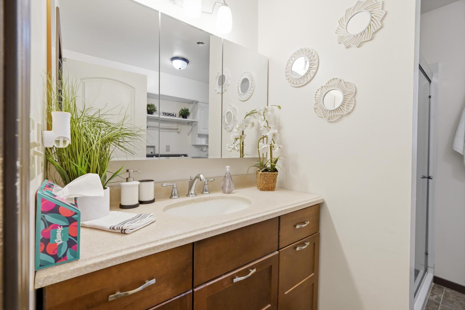 13351 Newtown Road Nevada City, CA 95959 - Photo 9 of 50 a bathroom with a sink and a mirror