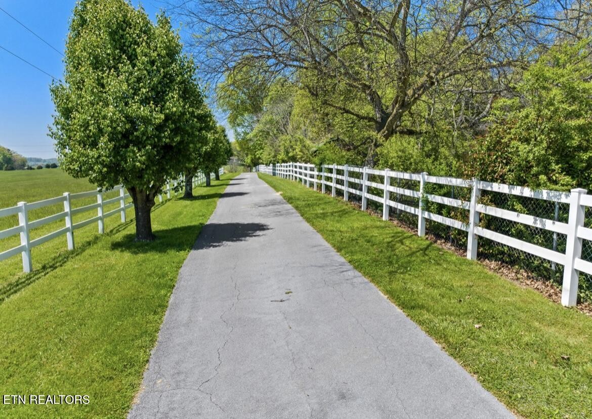 2041 Witt Road White Pine, TN 37890 - Photo 23 of 49