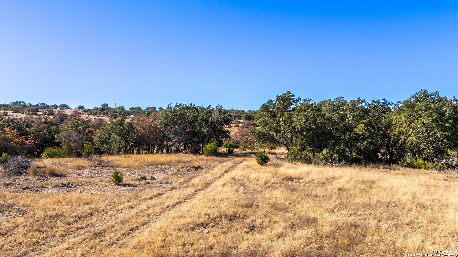 428 Lester Lane Junction, TX 76849 - Photo 10 of 18