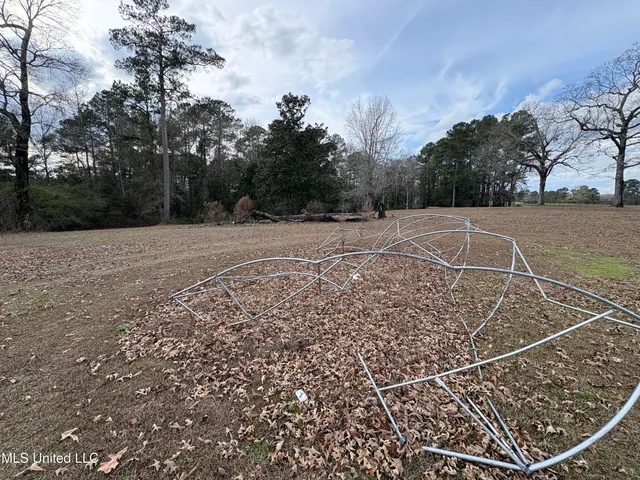 $225,000 | 581 Moselle-Seminary Road, Moselle, MS 39459