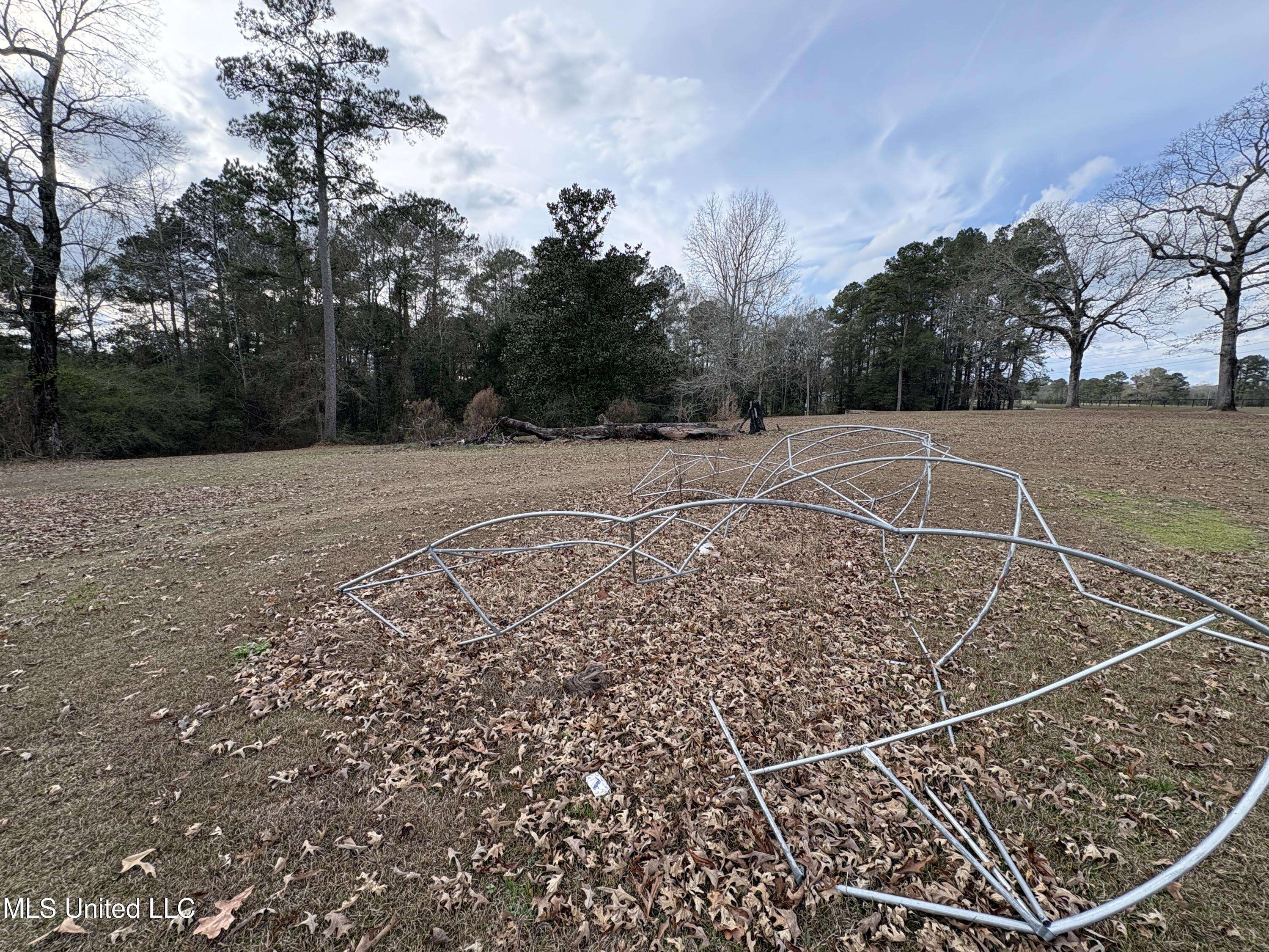 581 Moselle-Seminary Road Moselle, MS 39459 - Photo 12 of 30 IMG_6171