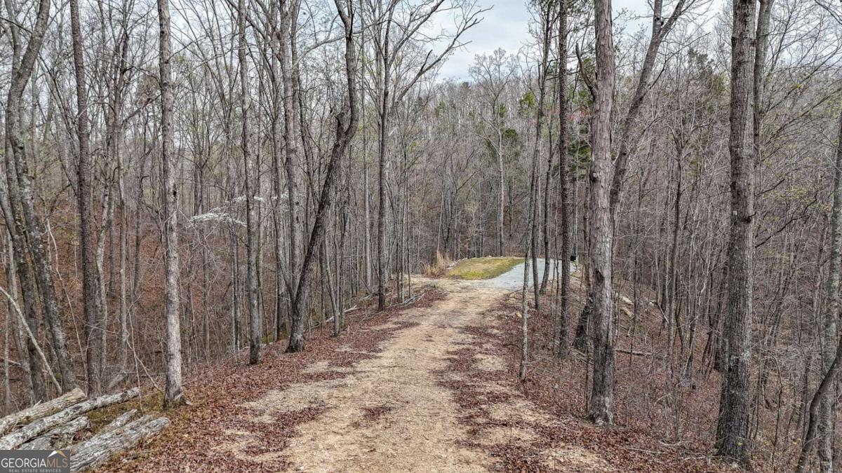 0 Felton Rockmart Road Buchanan, GA 30113 - Photo 8 of 47