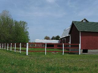 10551 Grafton Road Carleton, MI 48117 - Photo 4 of 15 Paddock area