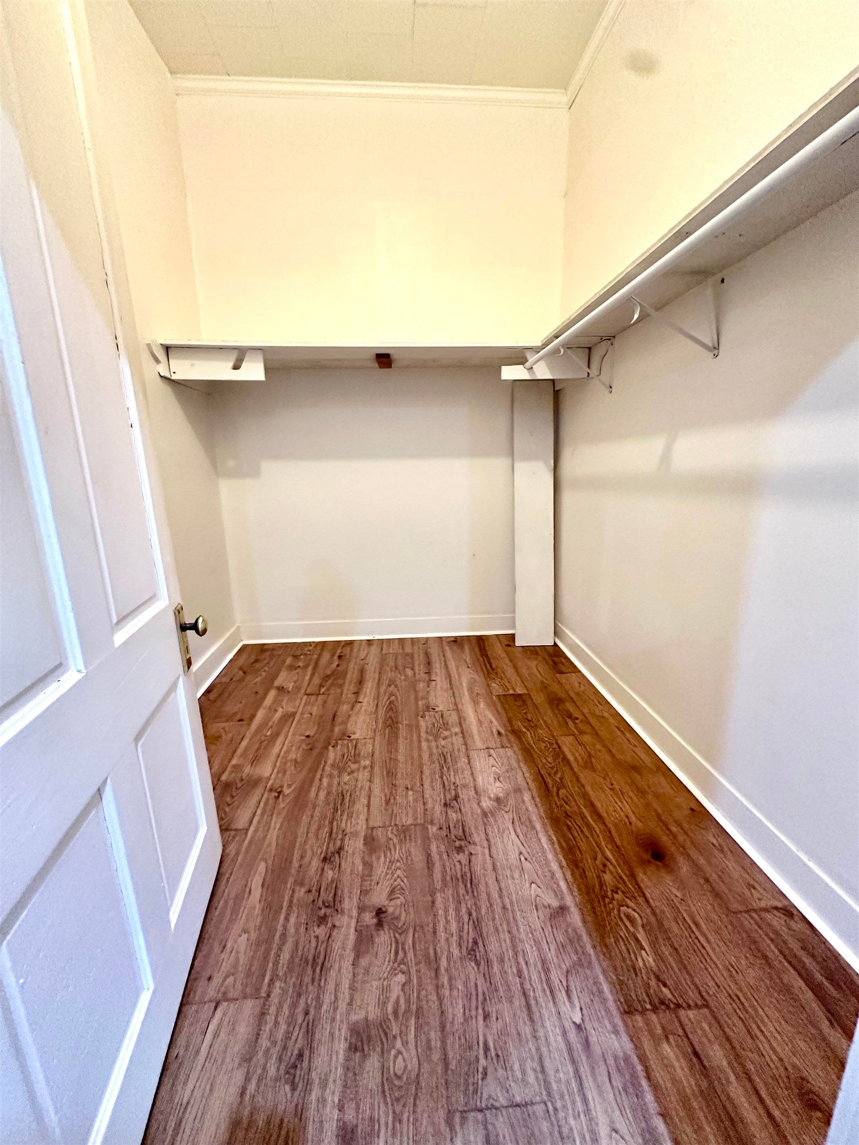 28784 Ealum Mill Road Red Level, AL 36474 - Photo 15 of 31 Gallery Image 15