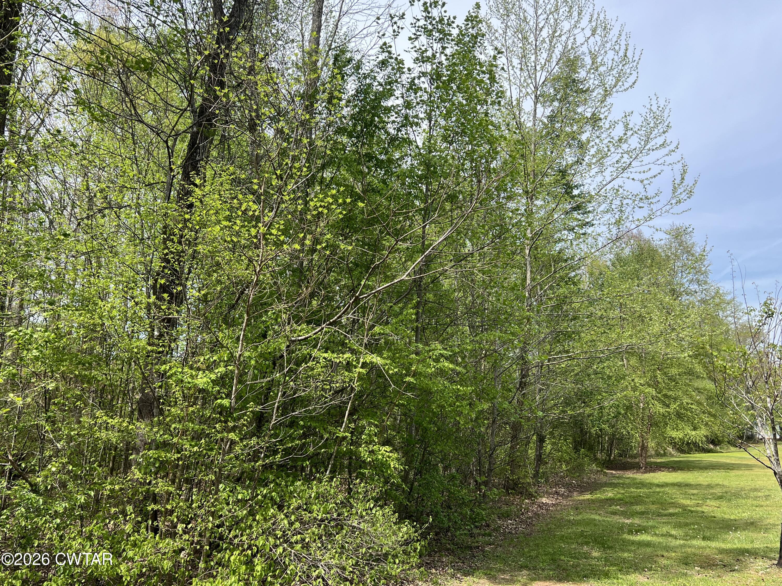 0 Excalibur Trail Cedar Grove, TN 38321 - Photo 11 of 13 a view of a yard with a tree