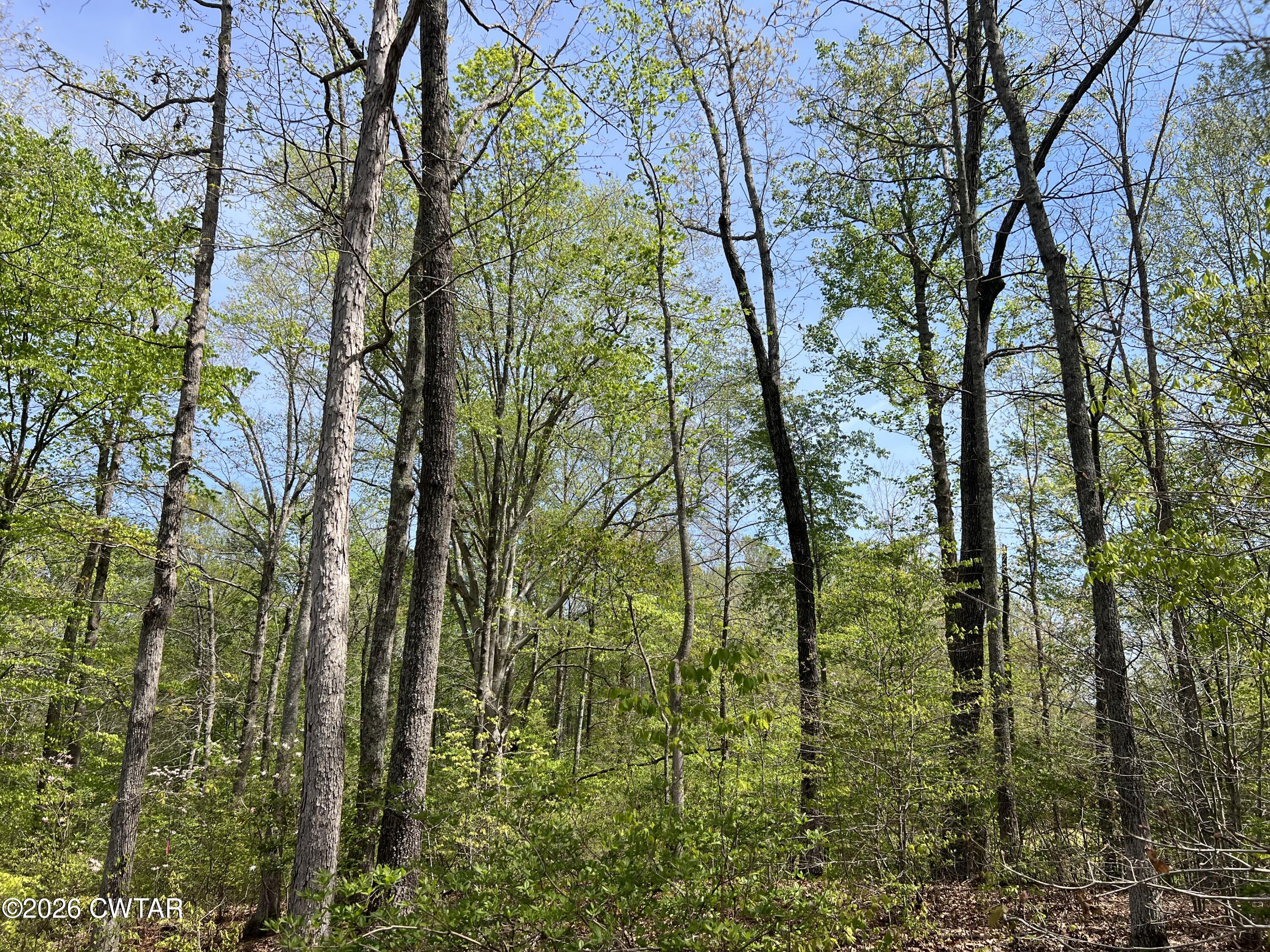 0 Excalibur Trail Cedar Grove, TN 38321 - Photo 6 of 13