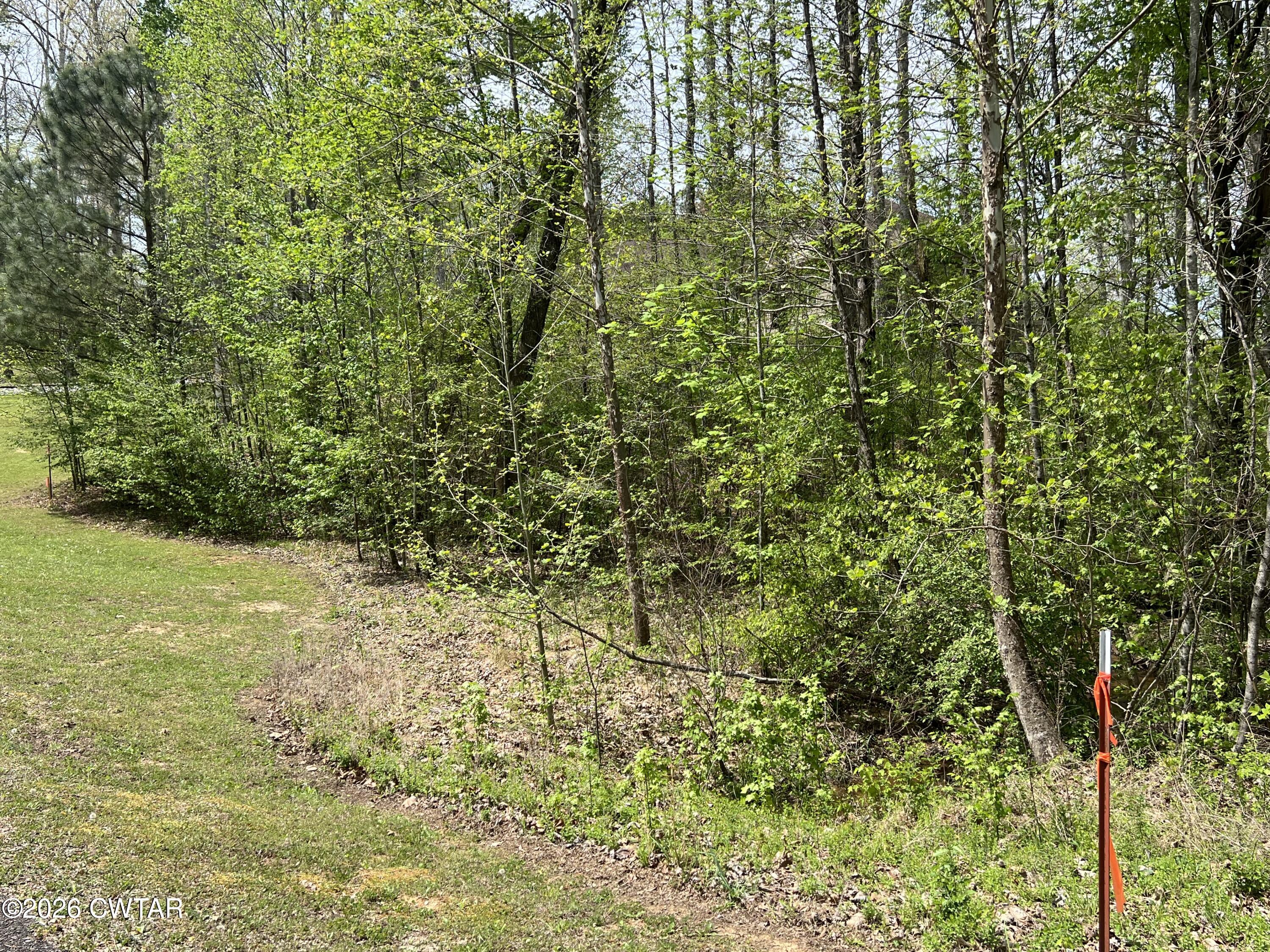 0 Excalibur Trail Cedar Grove, TN 38321 - Photo 10 of 13 a view of a yard with plants and tree