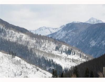 2875 Manns Ranch Road, Unit D1 Vail, CO 81657 - Photo 11 of 12 Additional Photo
