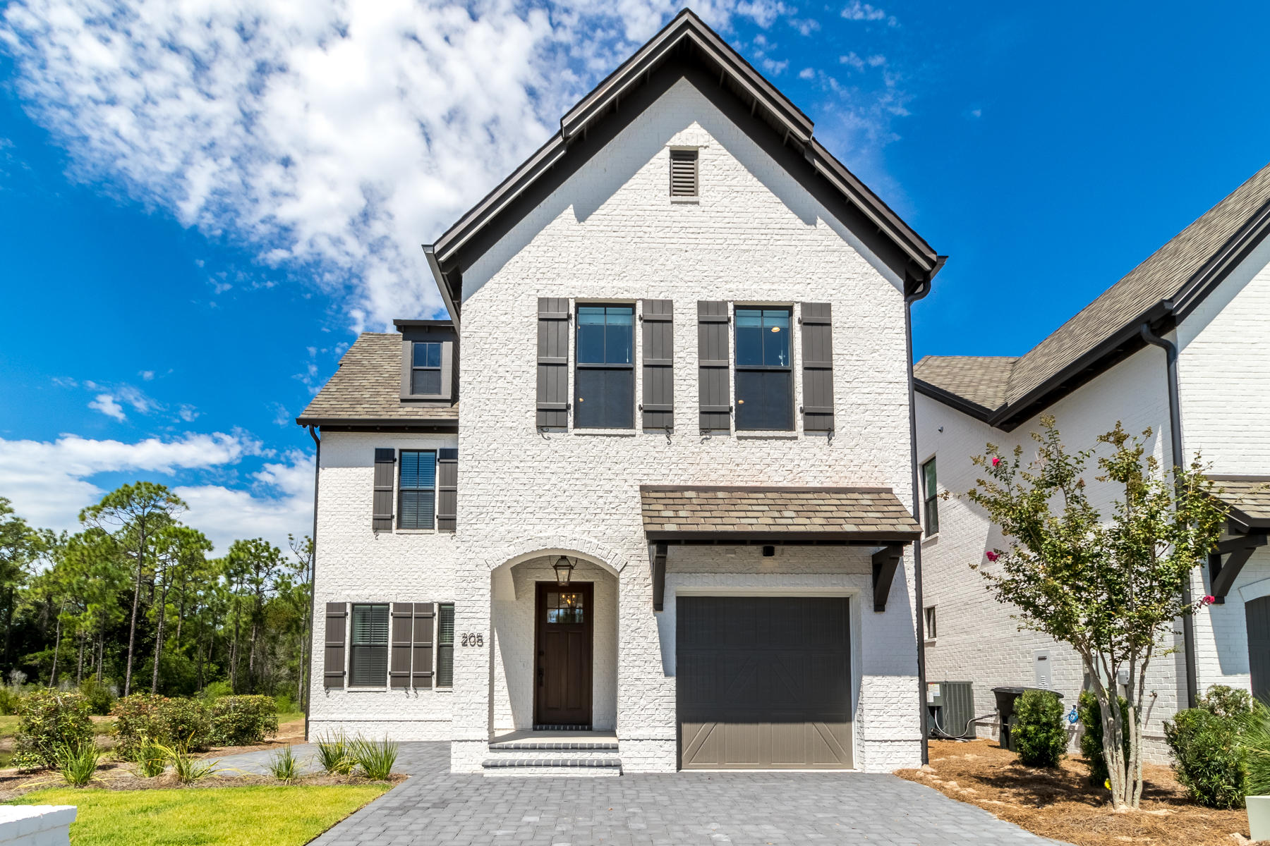 205 Ridgewalk Circle Santa Rosa Beach, FL 32459 - Photo 1 of 56